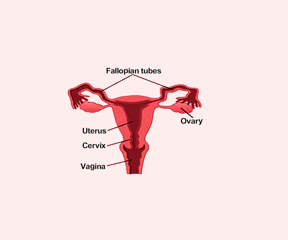 Laparoscopic Tuboplasty in Nashik